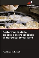 Performance Delle Piccole E Micro Imprese Di Hargeisa Somaliland Robleh Buch