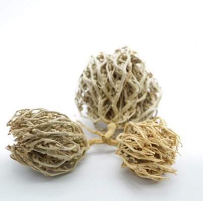 Pure Rose of Jericho Flower of Maryam Anastatica hierochuntica 100 g كف مريم