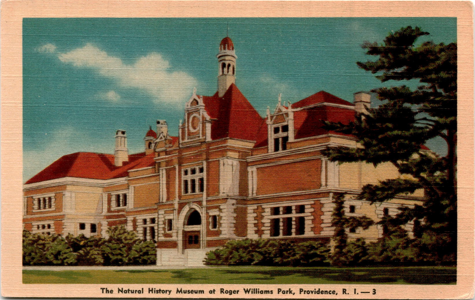 Natural History Museum, Roger Williams Park, Providence, R. I., Postcard