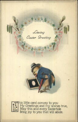 Easter Fantasy Dressed Chick Suit Hat Umbrella c1910 Embossed Postcard