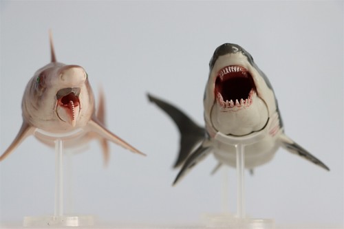 PNSO Helicoprion 43 Figure Animal Shark Model Adult Children Toys Gift Decor - Picture 13 of 17