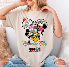 Disney Family Shirt, Mickey and Minnie Ear Shirt, Disneyland Family Trip 2025
