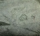 Bild 8 von 9