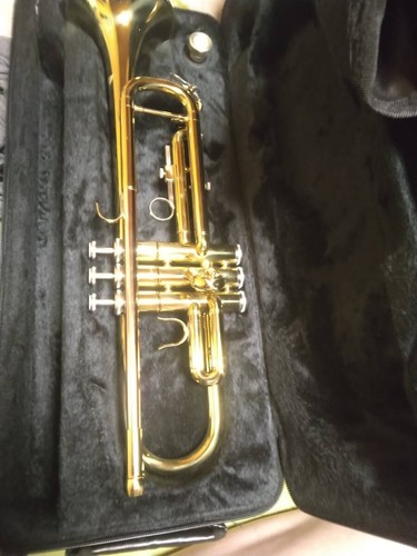 Beautiful trumpet
