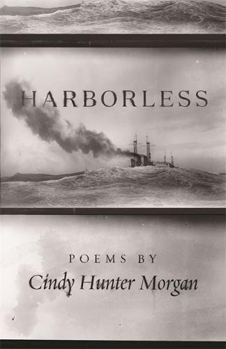 Harborless Morgan Paperback MP–WST Wayne State Uni Press 9780814342428