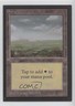 Plains Magic: Collectors' Edition Non-Playable Gold Backs #PLAI 1993