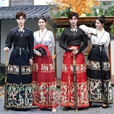 Chinese Horse Face Skirt Ming Dynasty Traditional Embroidery Dress Hanfu Costume