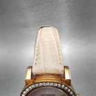 Bild 5 von 12