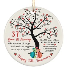 37 Years Love Ornament Happy 37th Anniversary Cute Turtle Couple Christmas Gifts