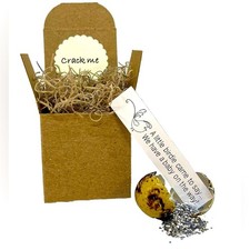 Pregnancy Announcement, Surprise Quail Egg, unique baby announcement NIB Gift