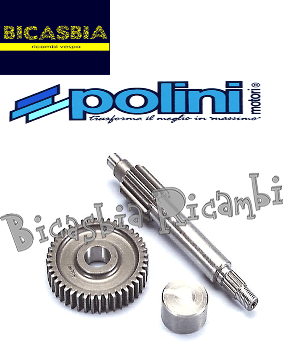 0992 - Polini Primary Gears Z 13-44 Malaguti F15 Fire Fox | eBay