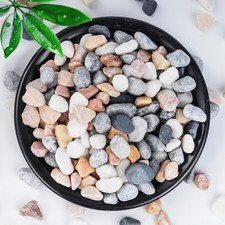Natural Mixed Color Gravel Stones for Succulents, Aquariums, and Landscaping