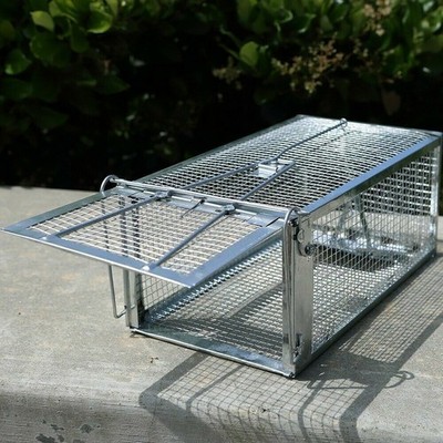 Iron Cage Trap Live Humane For Squirrel Chipmunk Rat Mice Rodent Animal Catcher