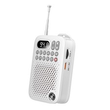 Portable Bluetooth FM Radio with MP3 Player Recording Big Sound