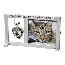 Cathedral Art PF404 Pet Memorial Frame with Vial for Ashes, 5-1/4 by 3-Inch