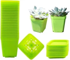 48 Pack 3" Green Small Plant Pots, Square Plastic Nursery Pots w/ Saucer Baskets