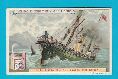 LIEBIG - SEHR ALTE & SELTENE KARTE - S545 / F543 - WALFANG - 1898