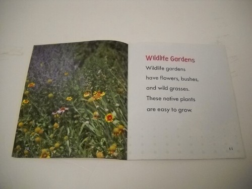 Pebble Books Early Reader Non-Fiction Garden 4 Paperback Book Set Brand New Rare - Picture 7 of 12