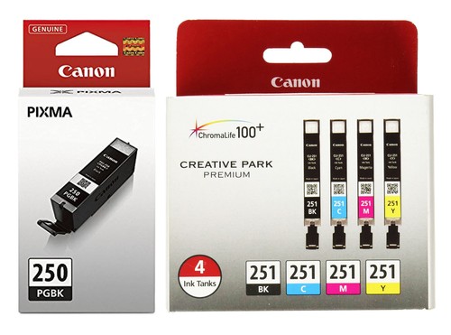 Genuine OEM Cartuchos de tinta de impresora Canon PGI-250 CLI-251 MG5520  MG5620 MG6620 | eBay