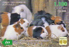 Carte JAPON SERIE MOIS 2/12 - ANIMAL - COBAYE Cochon d'Inde Hamster - JAPAN card