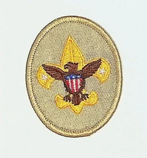 BSA Tenderfoot Scout Rank Patch Tan Modern Current Issue Mint Condition Gauze B