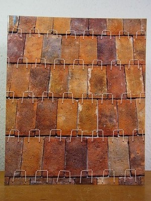 Johannes Pfeiffer. Exhibition Nassauischer Kunstverein 1995 [English Edition] Pf