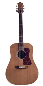 Guild Songbird | eBay