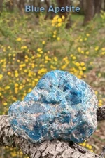 Crystal Connections Message Cards: 70..., Adam Barralet