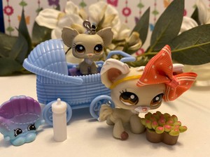 lps chihuahua numbers