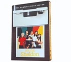 Young Sheldon season 6 DVD Box set Brand New Region 1 Free shipping