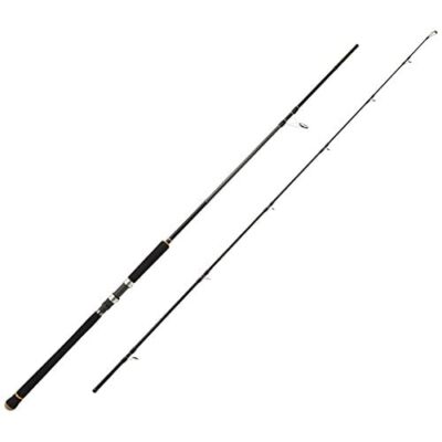 Major Craft Spinning Rod CROSTAGE Shore Jigging CRX-962-H | eBay