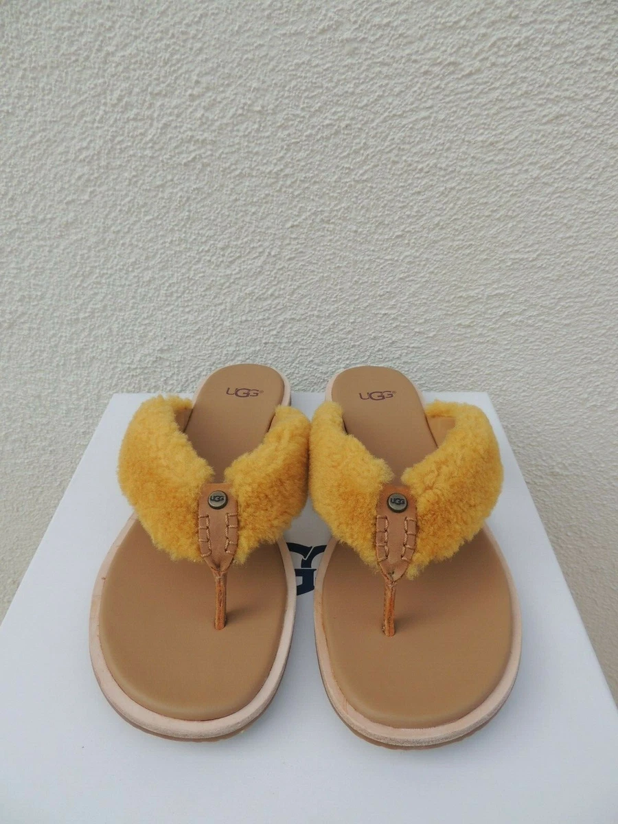Ugg alicia best sale flip flop