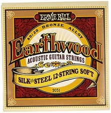 Ernie Ball Earthwood Silk and Steel Assorted Styles , Pattern Names , Sizes