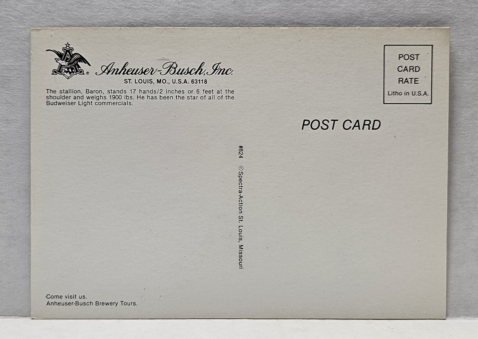 Anheuser-Busch Stallion Baron Bud Light Commercial Star Horse Vintage Postcard