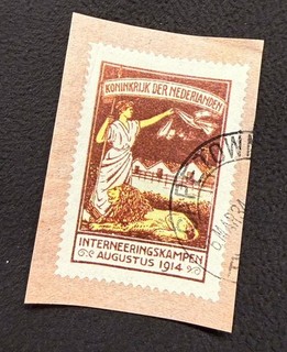 Netherlands 1916 Internment stamp IN1 Used Cut Reproduction Stamp sv
