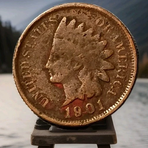1901 Indian Head Cent Actual Coin Shown - A3