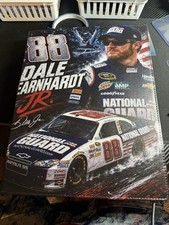 NASCAR Dale Earnhardt Jr Card Lot of 324