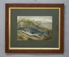 Vintage Antique Kilbourne Still Life Chromolithograph Fish Print in an Oak Frame