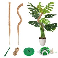 Moosstab Rankhilfe Kokosfaser Kletterpflanzen Indoor Garten ZubehöR 2 StüCk 60Cm