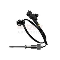 Sensor Abgastemperatur 255 Mm Kabel 2-Polig Metzger FüR U.A. Hyundai I30