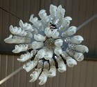 Bild 6 von 10
