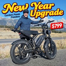 Electric Bike E-Bike 1500W 48V 15AH Adults Bicycle 20" Fat Tire Mountain Ebike