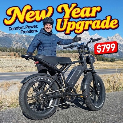 Electric Bike E-Bike 1500W 48V 15AH Adults Bicycle 20'' Fat Tire Mountain Ebike