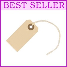 13pt Small Blank Tags with Hole, Strings Attached - 250ct