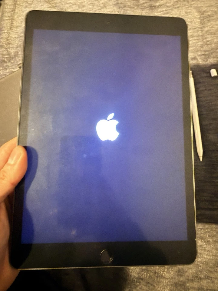 IPAD 8ª GERAÇÃO com teclado Zagg Book Case e pacote Apple Pencil de 1ª geração - Imagem 4 de 4