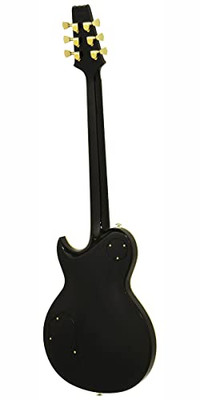 Aria ProII PE-R80/BK Black Electric Guitar with Hard Case | eBay