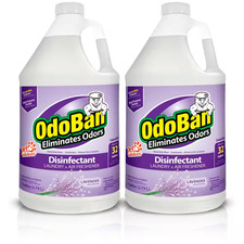 1 Gal. Lavender Disinfectant and Odor Eliminator, Fabric Freshener, Mold Control