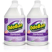 1 Gal. Lavender Disinfectant and Odor Eliminator, Fabric Freshener, Mold Control