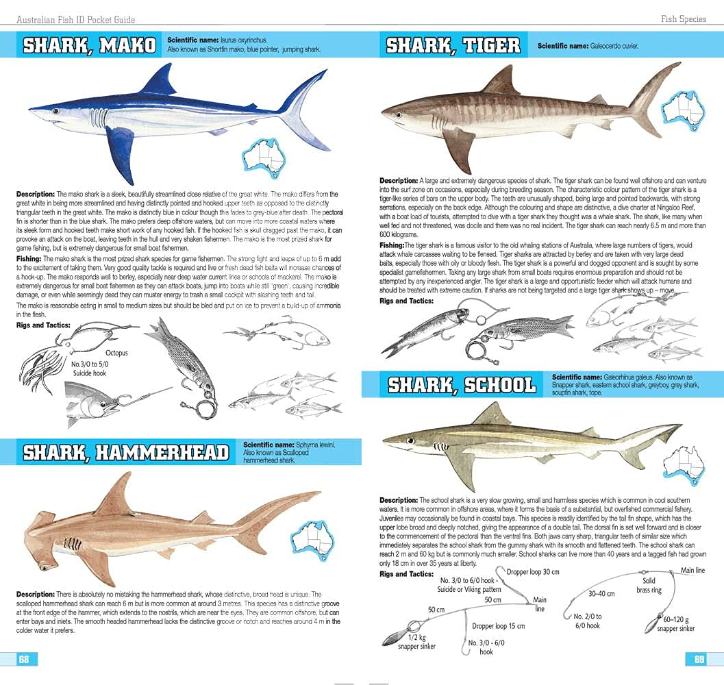 Australian Fish ID Pocket Guide: This Book Is an Invaluable Reference ...