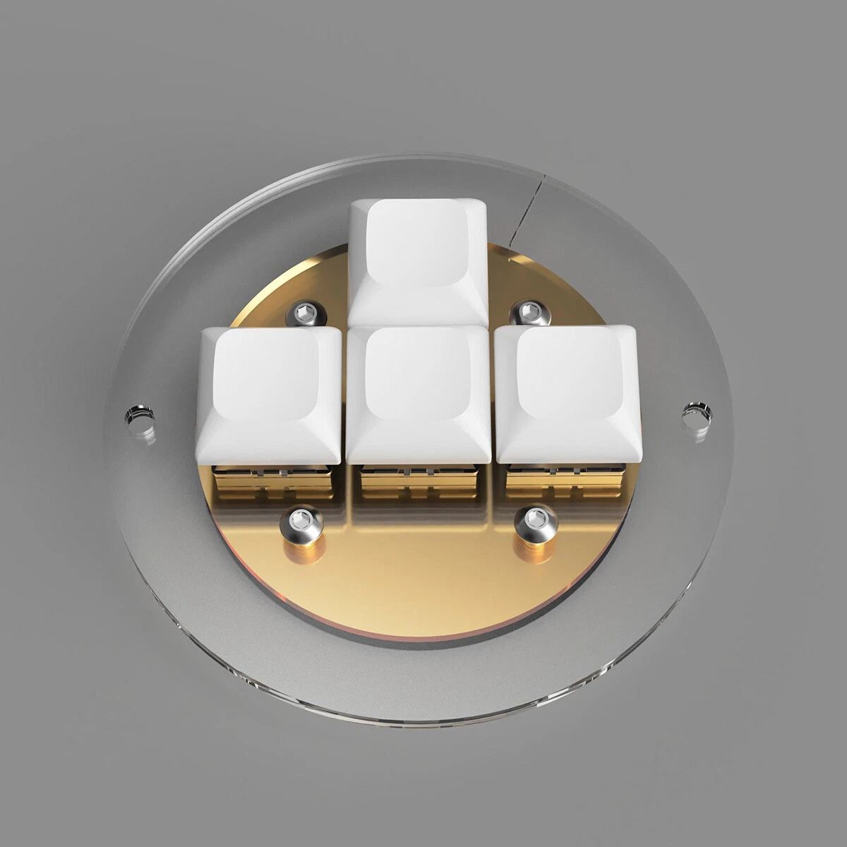 Gold-White